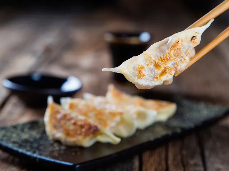 Golden crispy pan-fried gyoza with savory meat filling at Sushi Feast AYCE, a Japanese Restaurant in Ocala